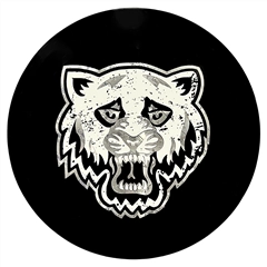 BearKat