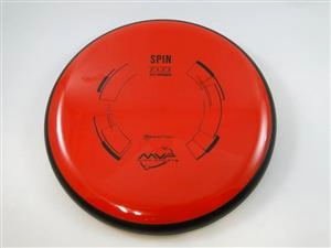 Neutron Spin