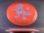 Allosaurus Egg Shell Misprint