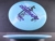 CicadaESPMisprint