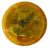Fly Fish Ocean Waste Artic