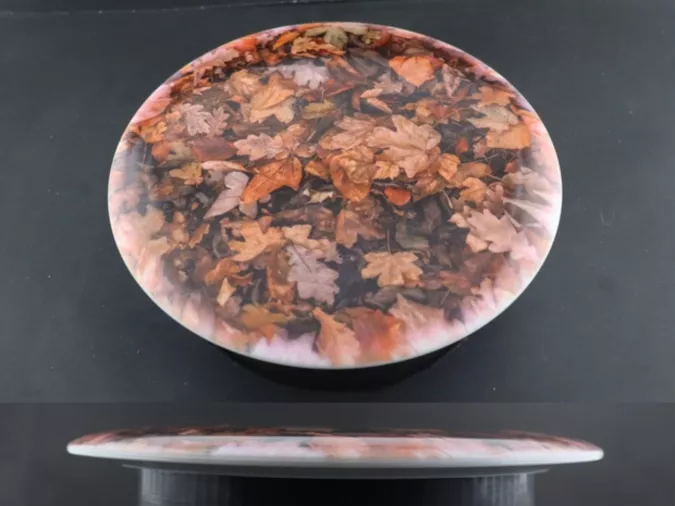 Treason Fuzion DyeMax