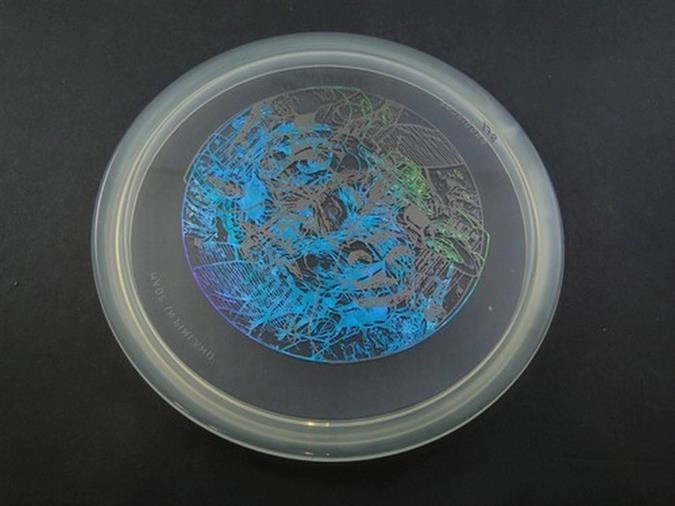 TroijaProdiscus Premium Misprint
