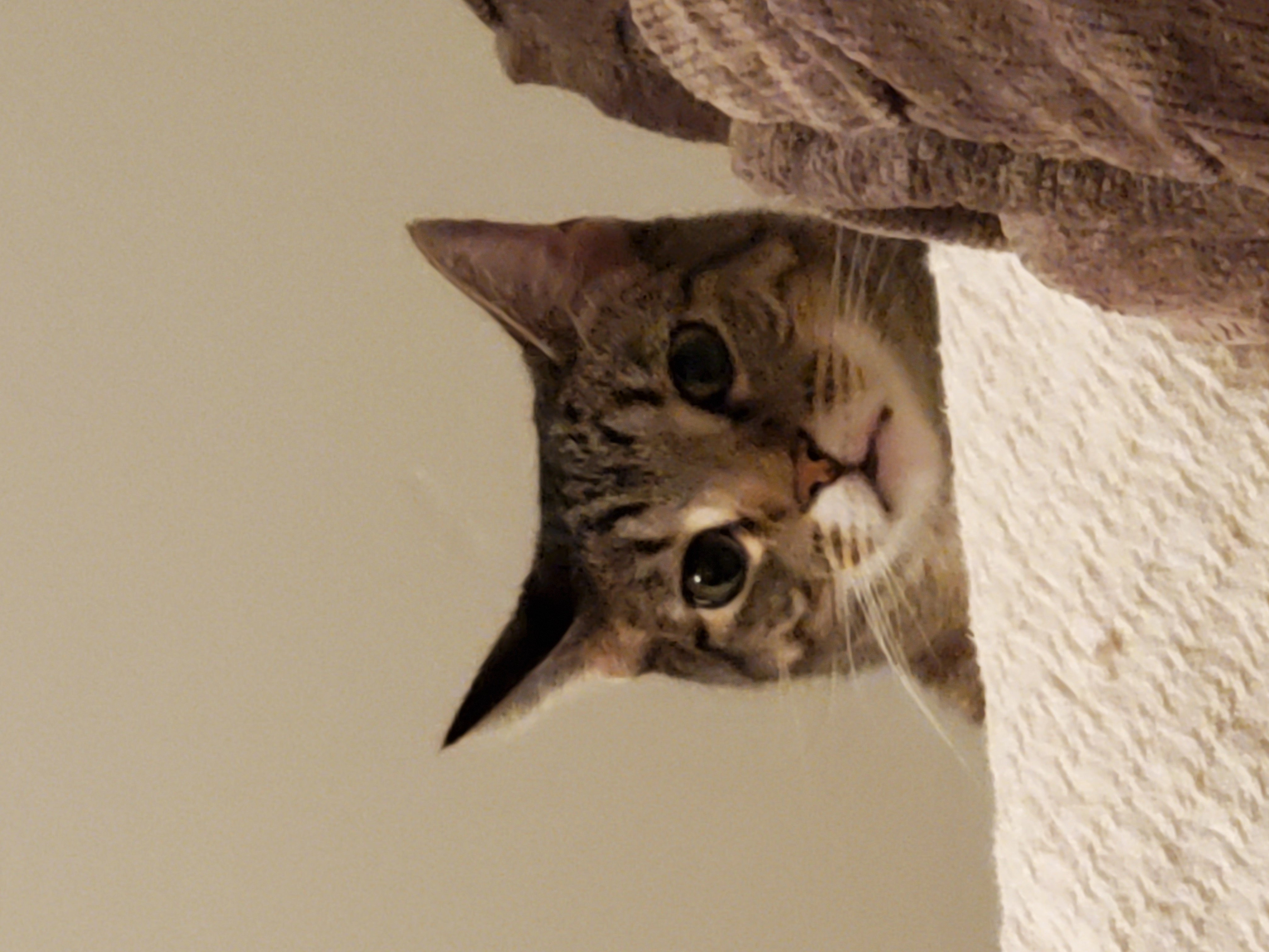 Cbake5379!=''?Cbake5379:Cory Baker