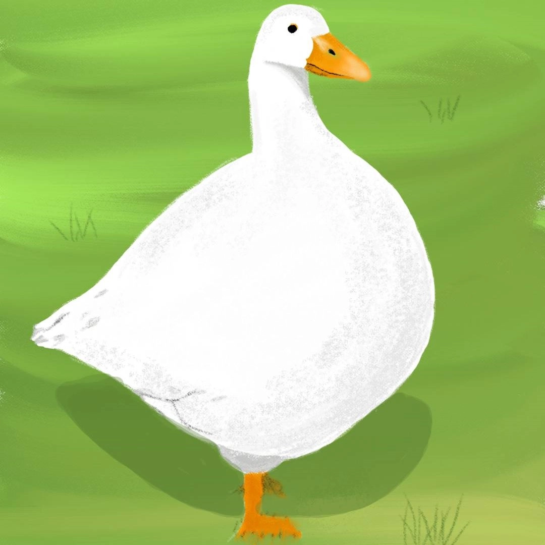 FatGoose!=''?FatGoose:Ryan Lindsay