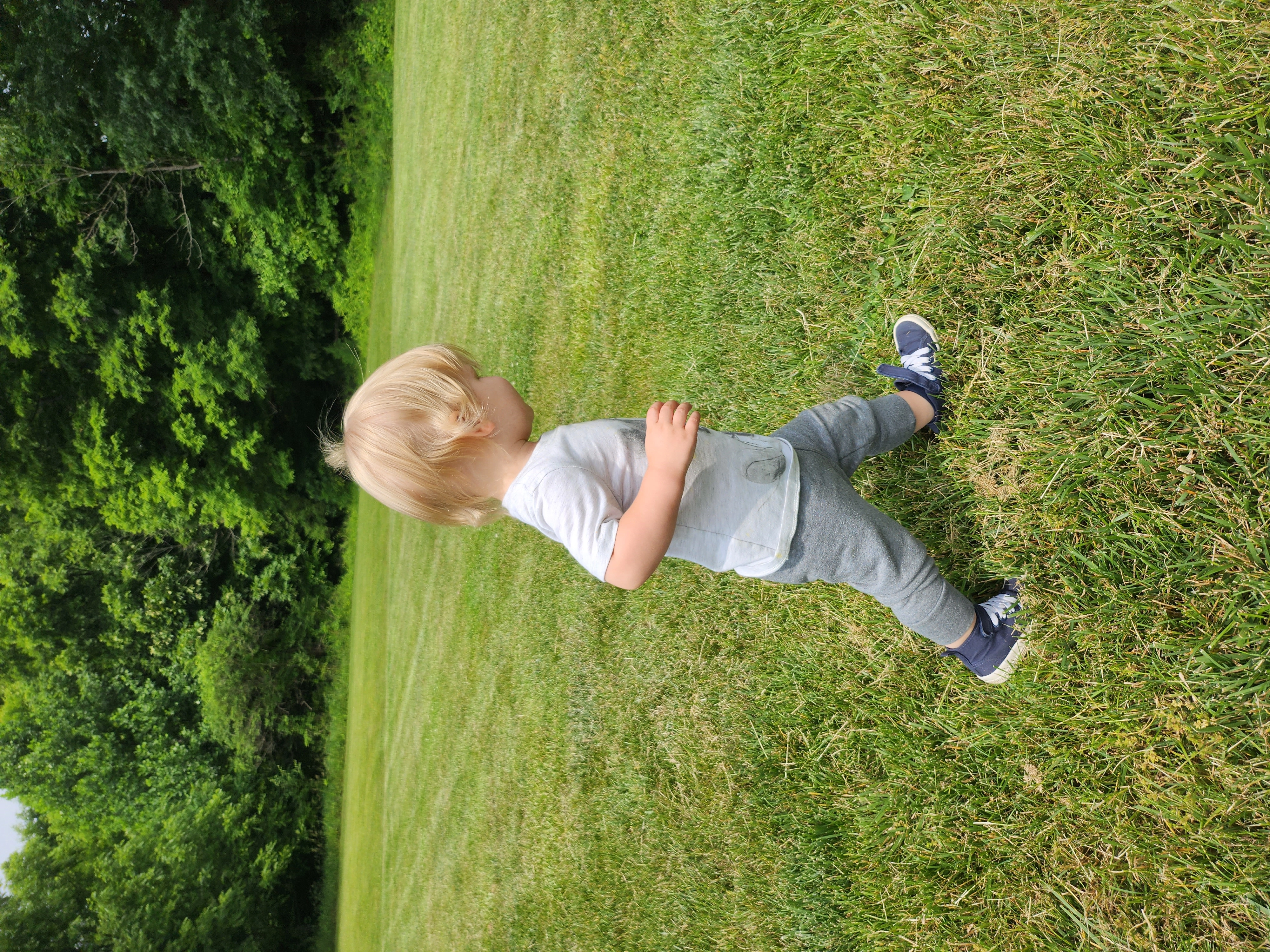 Hasted!=''?Hasted:Bradley Sydnor