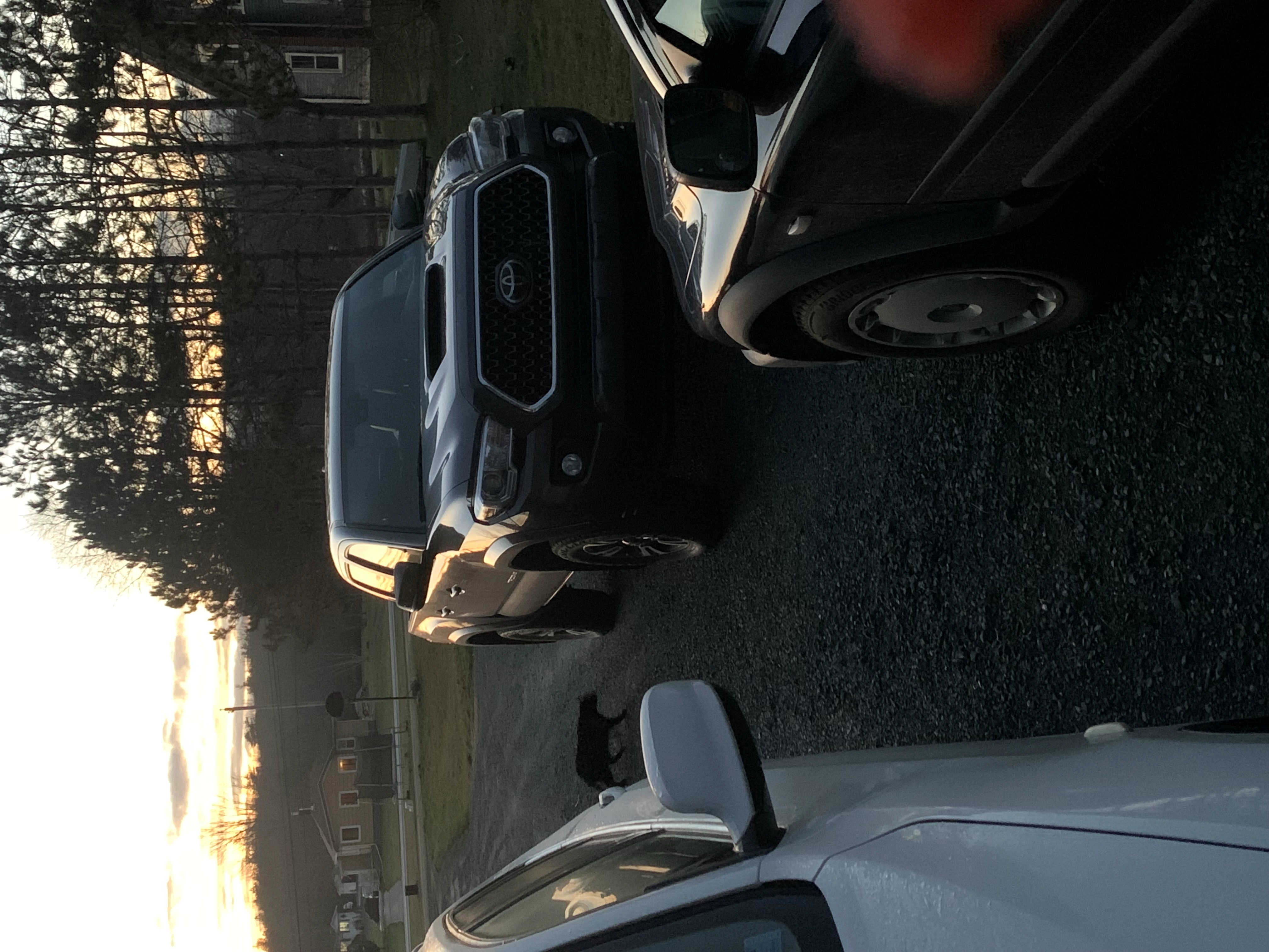 Tacorolla!=''?Tacorolla:Taylor Sheaves