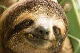 Cole Larson!=''?Cole Larson:cole Larson