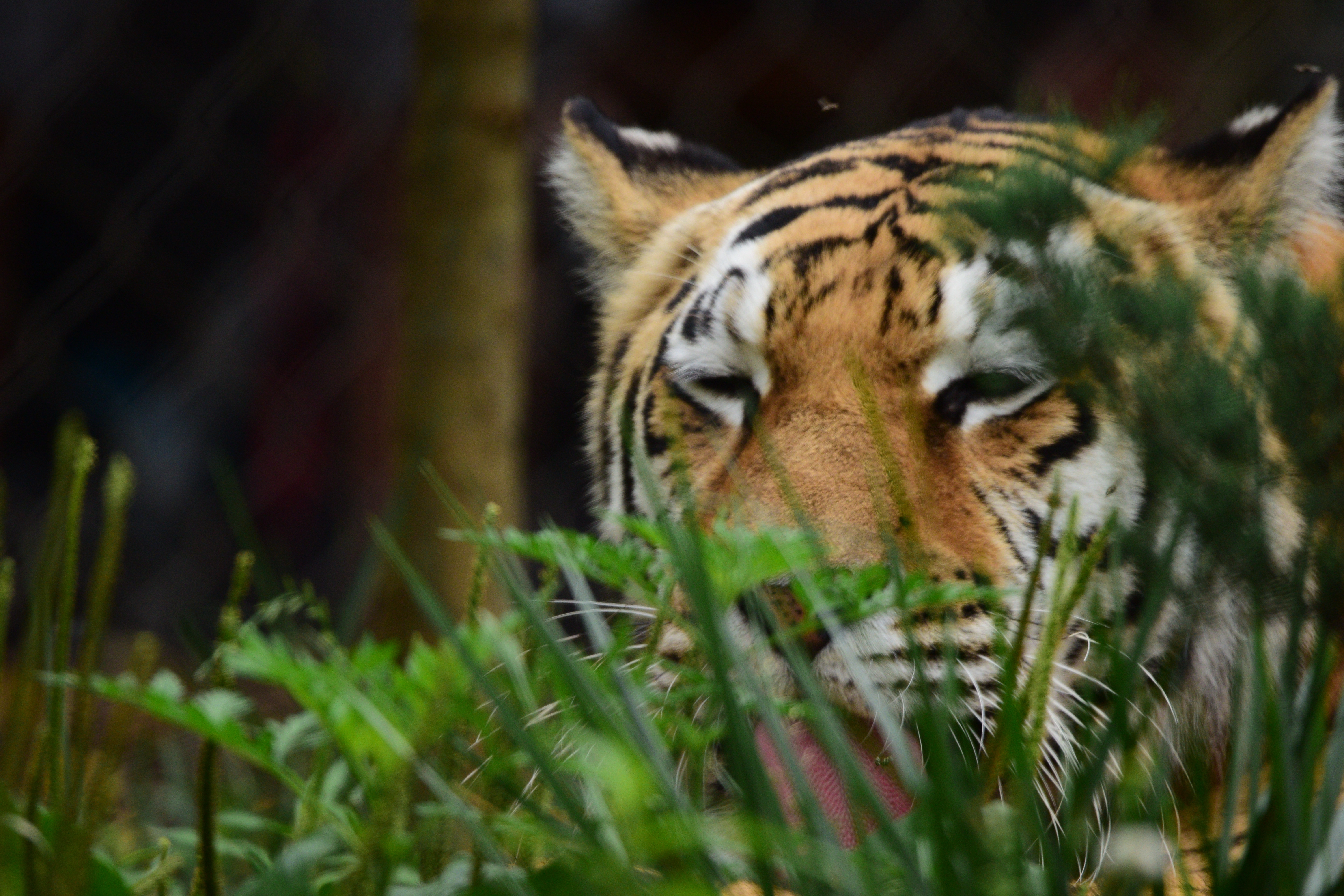 Bigcountry54!=''?Bigcountry54:Tim Tanner