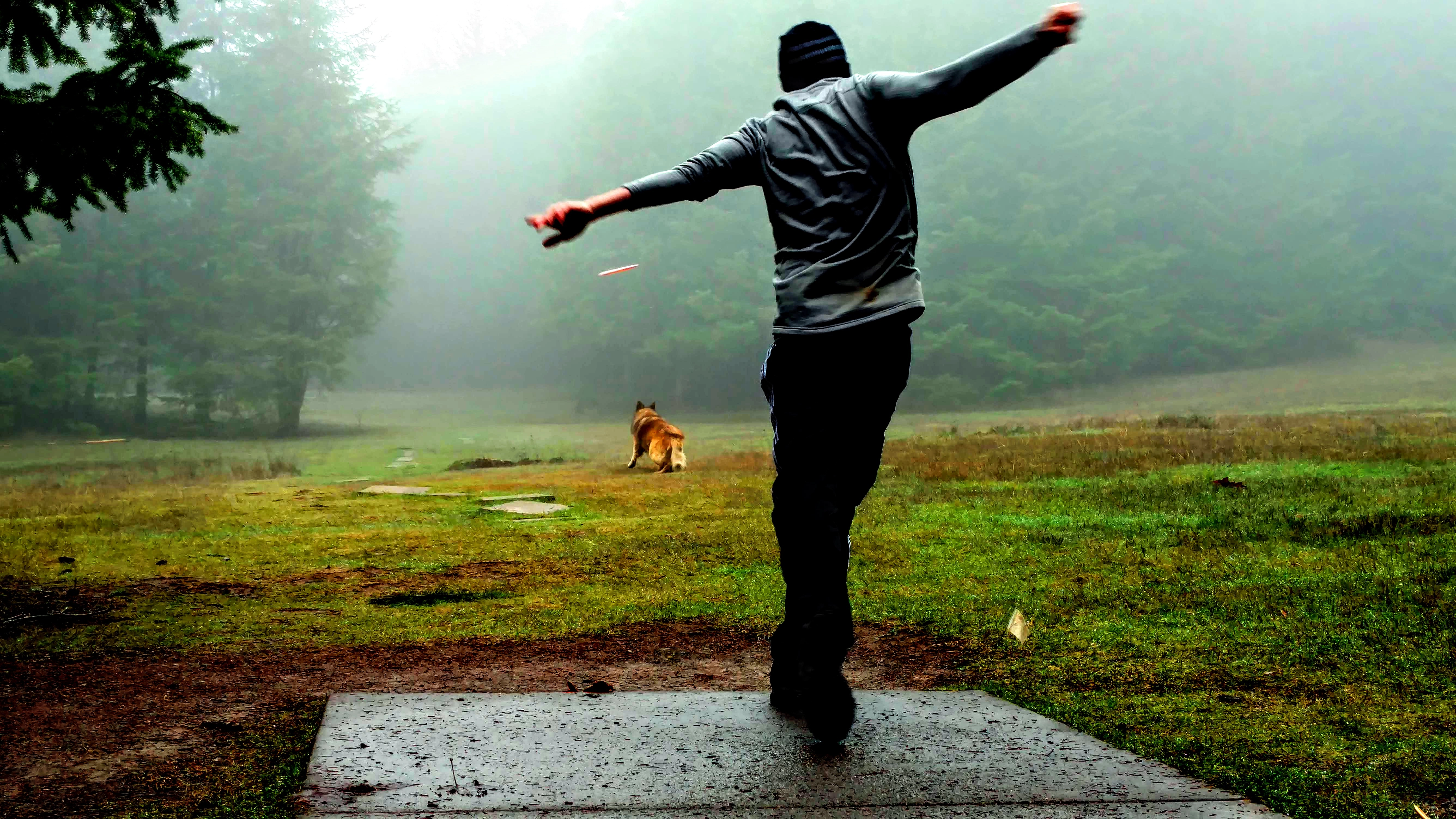 Forrest!=''?Forrest:Forrest Steffens
