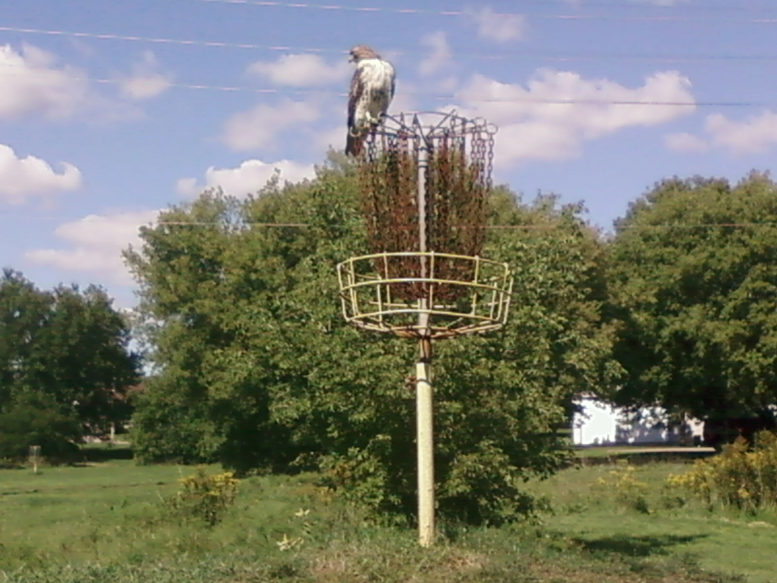 Jonas!=''?Jonas:jonas shapiro