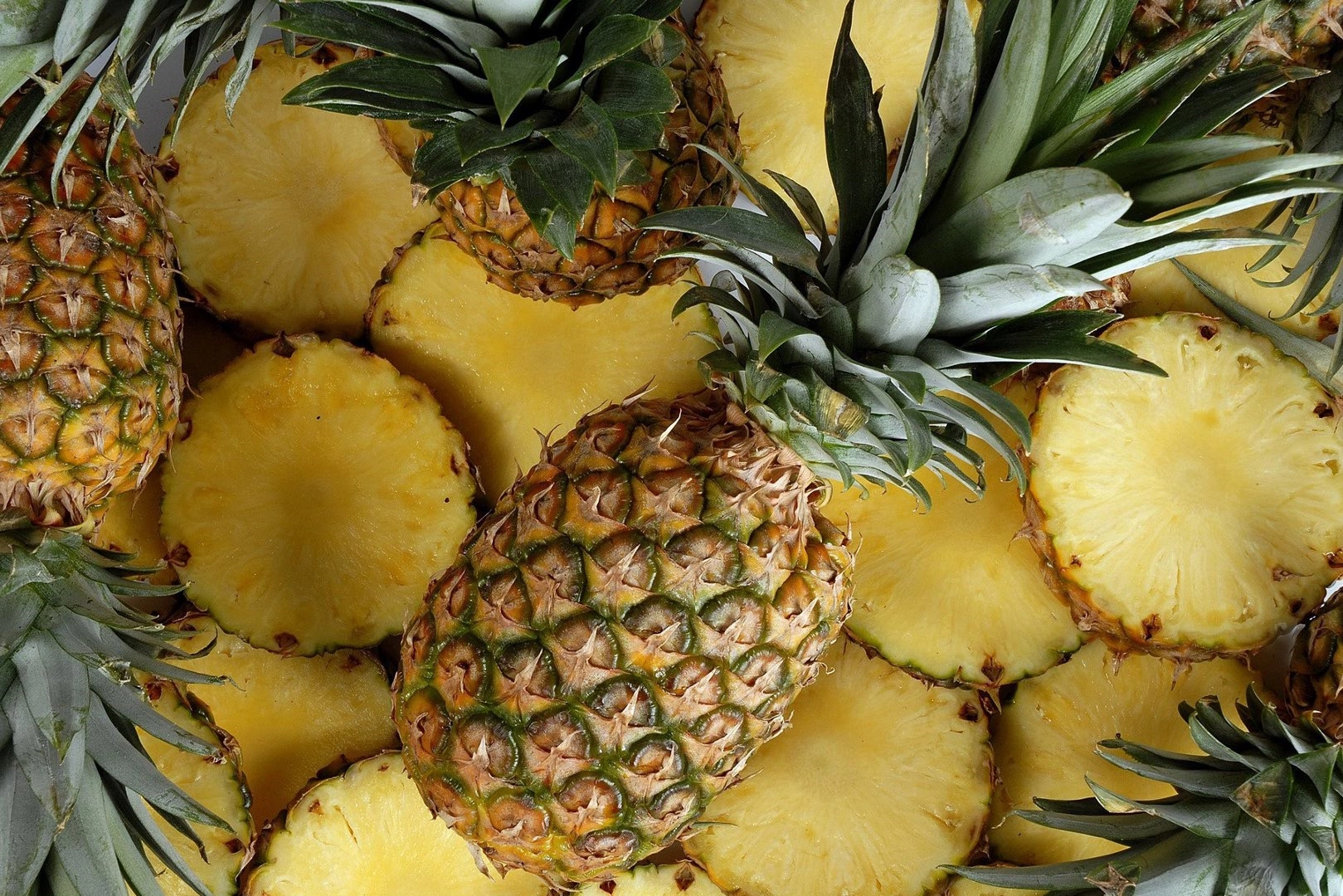 42 Pineapples!=''?42 Pineapples:Tyler Kraker