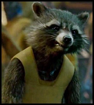 Rocket!=''?Rocket:Jim Hintzen
