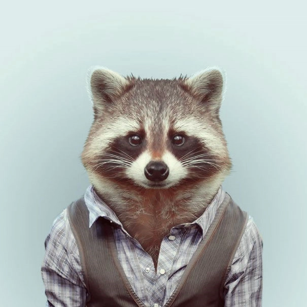 goodnapper!=''?goodnapper:Brian Hoback