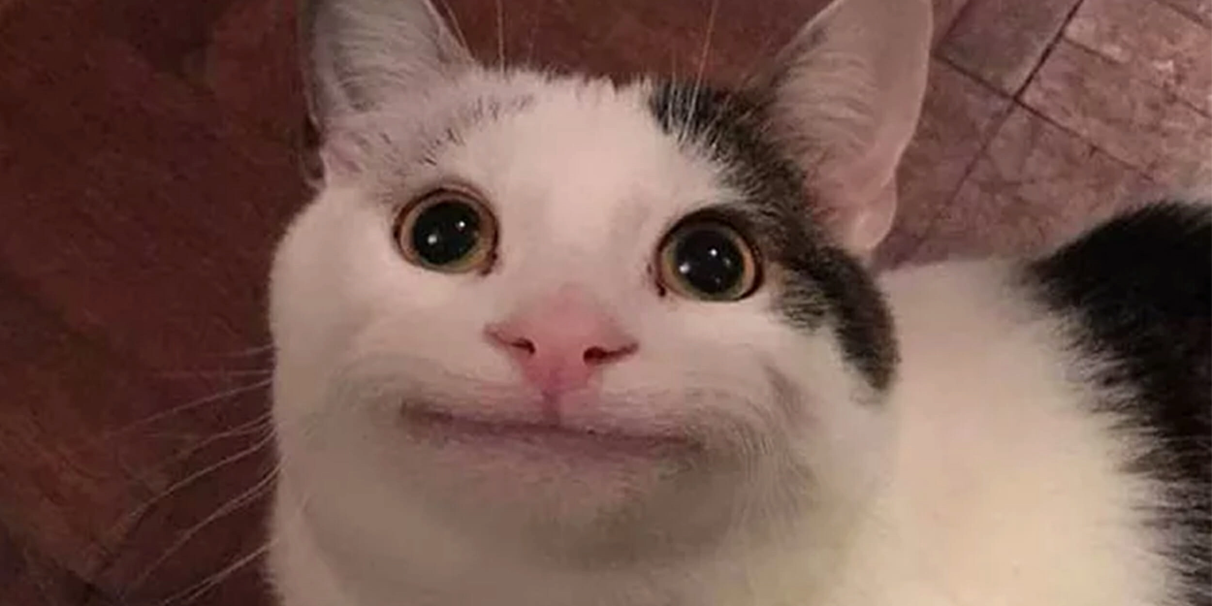 Doug!=''?Doug:Doug Keto