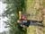 Forehand_Dan