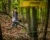 discgolf_RN