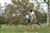 MikeyAndrew
