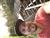 EvanM