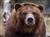 Bear Huggins