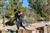 Cole Redalen 79748