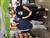 jake_allison