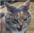 earlofcurl