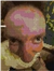 The Tosser