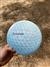 PBplaydiscgolf