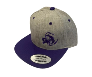 Discraft Buzzz Snapback  Hat