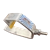 Shank Shark!
