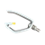 shank