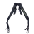 Prodigy Straps