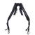 Prodigy Straps