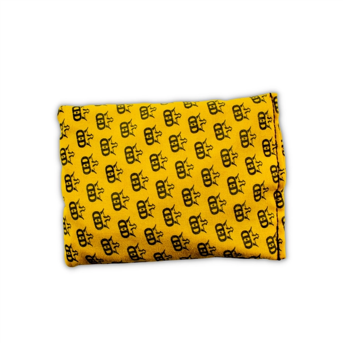 Dynamic Discs Dirt Bag