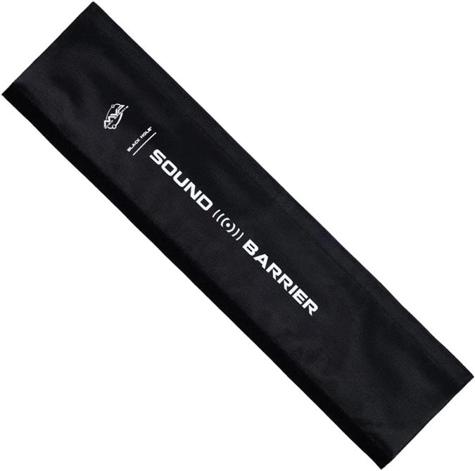 Black Hole Sound Barrier