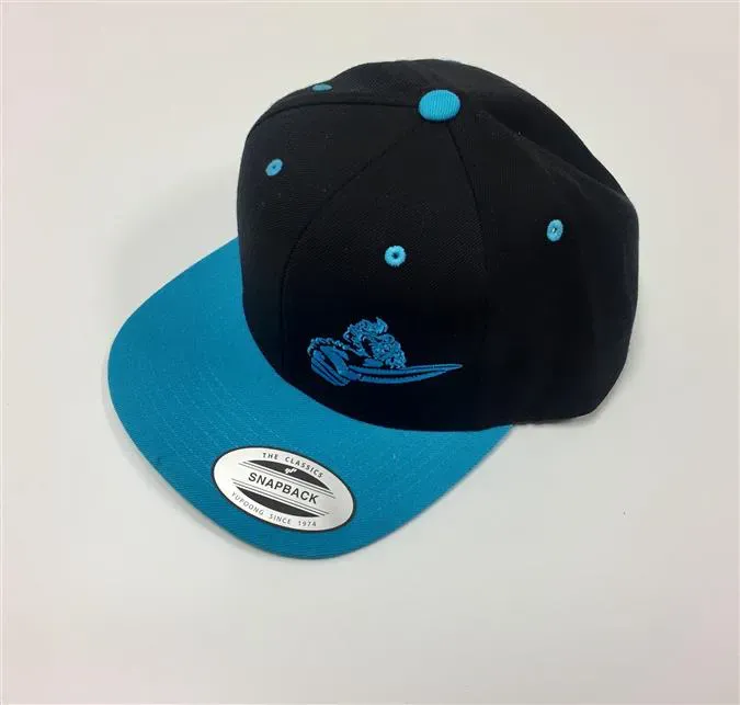 Discraft Snap Back Hat