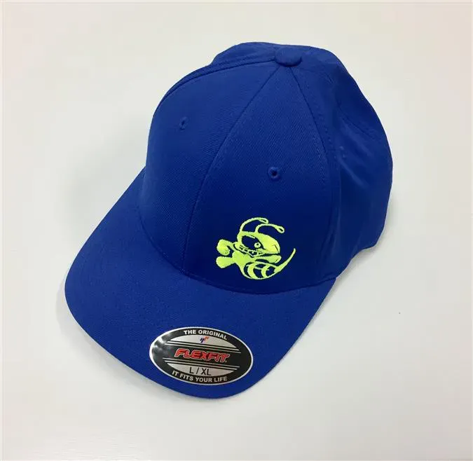 Discraft Hat